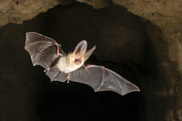 Foto: Karsten Mosebach